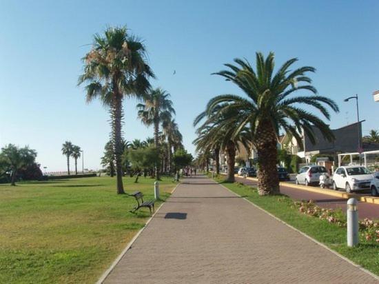 Appartamento La Conchiglia Porto SantʼElpidio Esterno foto