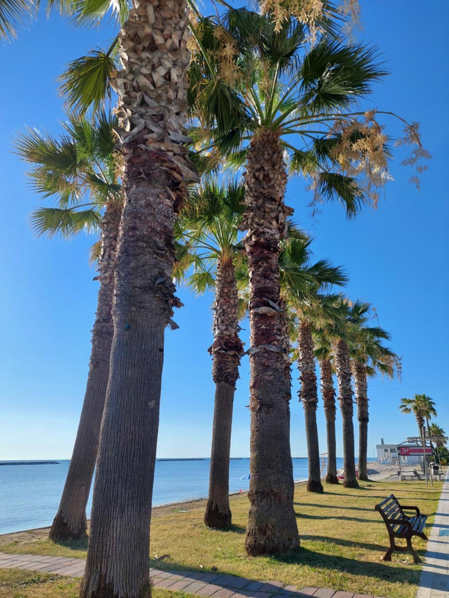 Appartamento La Conchiglia Porto SantʼElpidio Esterno foto